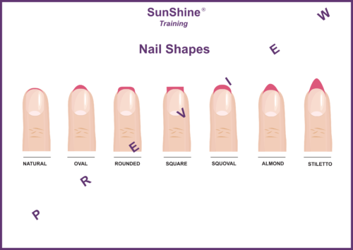 Nail Shapes ( Digital or Posted )